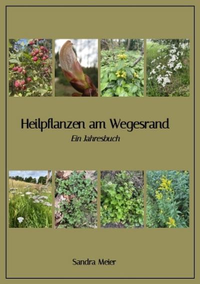 Heilpflanzen am Wegesrand