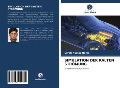 SIMULATION DER KALTEN STRÖMUNG