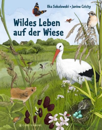 Wildes Leben auf der Wiese