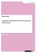 Tropische Wirbelstürme - Entstehung und Verbreitung