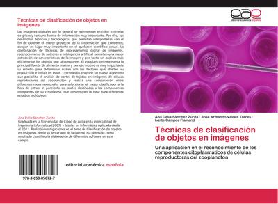 Técnicas de clasificación de objetos en imágenes