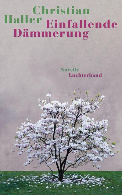 Einfallende Dämmerung