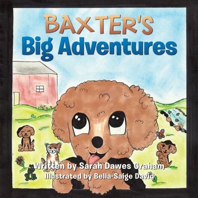 Baxter’s Big Adventures
