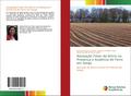 Adubação Foliar de Silício na Presença e Ausência de Ferro em Sorgo