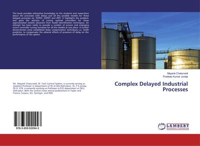 Complex Delayed Industrial Processes