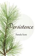 Persistence