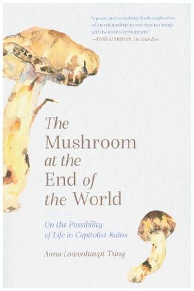 The Mushroom at the End of the World - On the Possibility of Life in Capitalist Ruins