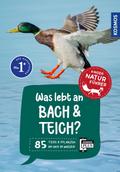 Was lebt an Bach und Teich?