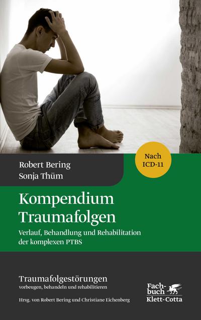 Kompendium Traumafolgen (Traumafolgestörungen, Bd. 2)