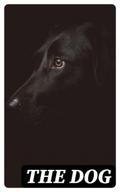 The Dog