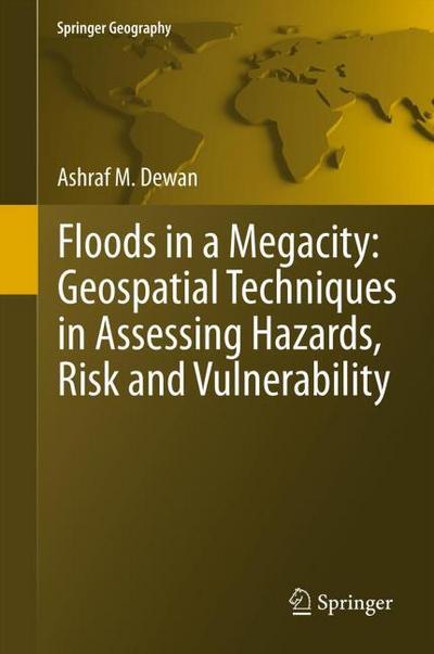 Floods in Megacity