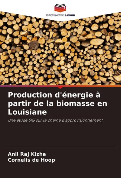 Production d’énergie à partir de la biomasse en Louisiane