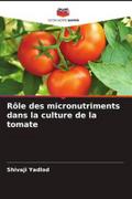 Rôle des micronutriments dans la culture de la tomate