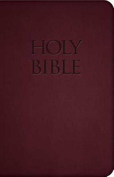 Holy Bible-Nab