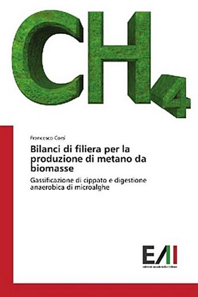 Bilanci di filiera per la produzione di metano da biomasse