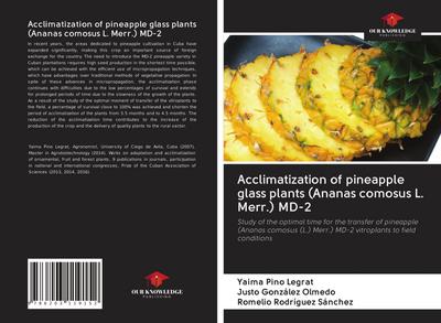 Acclimatization of pineapple glass plants (Ananas comosus L. Merr.) MD-2