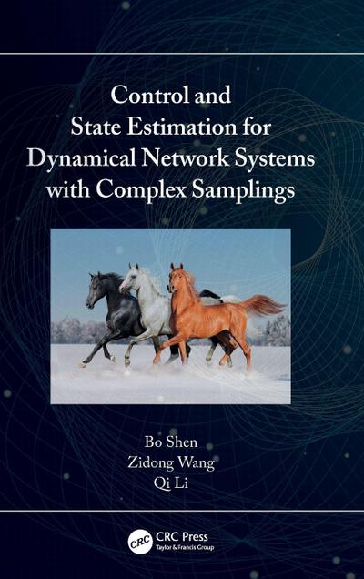 Control and State Estimation for Dynamical Network Systems with Complex Samplings