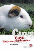 Cuys - Riesenmeerschweinchen: Cavia aperea f. porcellus: Art für Art (Buchreihe Art für Art Kleinsäuger)