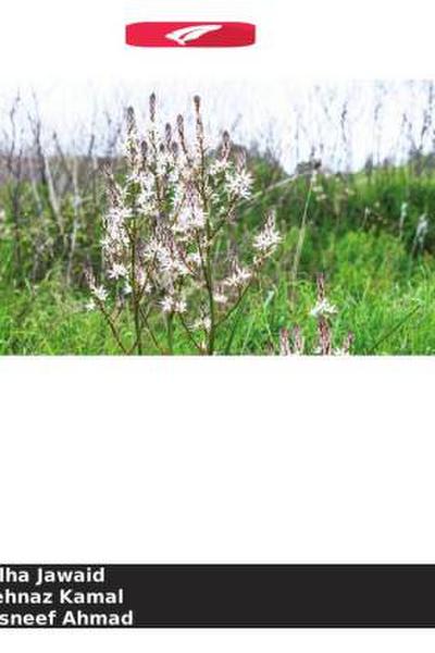 Efeito anti-hiperlipidémico da planta inteira Asphodelus fistulosus linn.