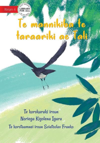 Tali the Willie Wagtail - Te mannikiba te taraariki ae Tali (Te Kiribati)