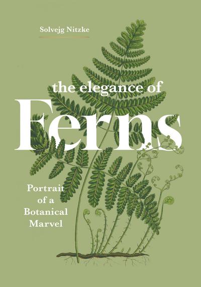 The Elegance of Ferns