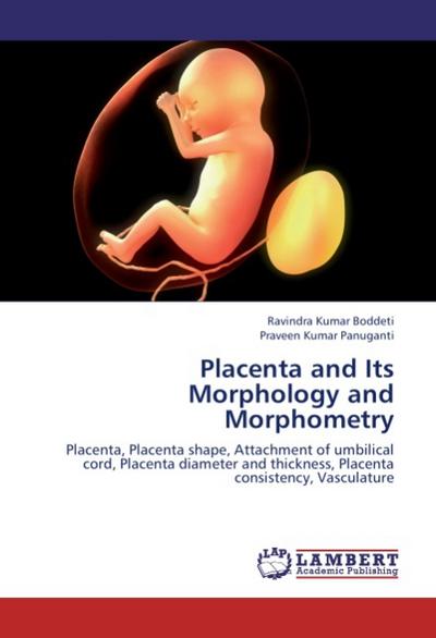 Placenta and Its Morphology and Morphometry