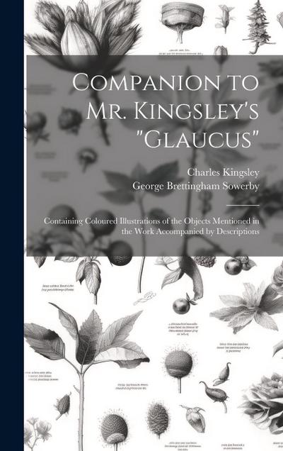 Companion to Mr. Kingsley’s "Glaucus"
