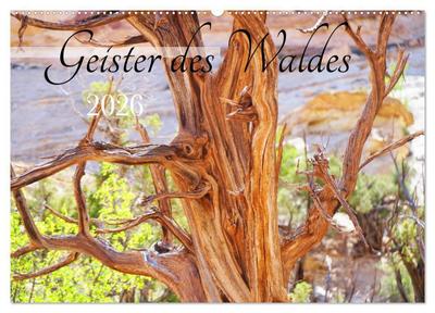 Geisterbäume (Wandkalender 2026 DIN A2 quer), CALVENDO Monatskalender