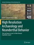 High Resolution Archaeology and Neanderthal Behavior