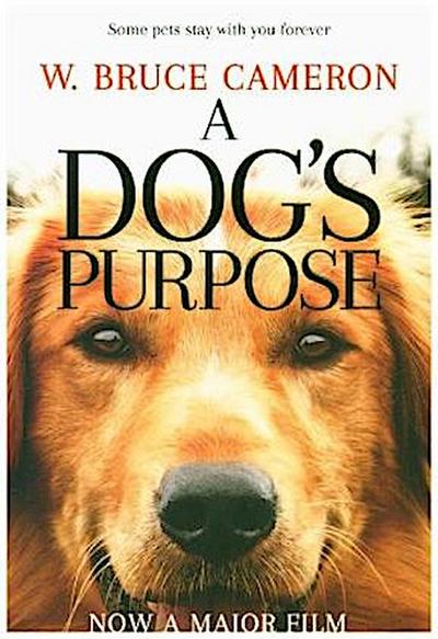 A Dog’s Purpose