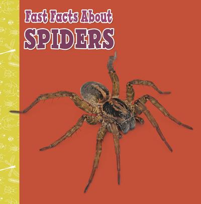 Fast Facts About Spiders