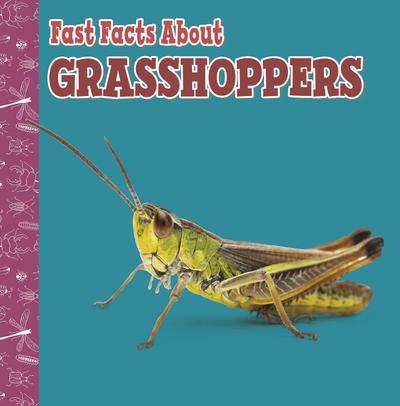 Fast Facts About Grasshoppers