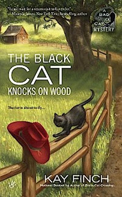 Black Cat Knocks on Wood