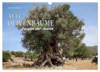 ALTE OLIVENBÄUME Zeugen der Antike (Wandkalender 2026 DIN A3 quer), CALVENDO Monatskalender