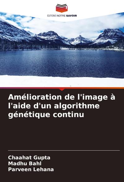 Amélioration de l’image à l’aide d’un algorithme génétique continu