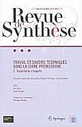 Travail et savoirs techniques dans la Chine prémoderne: 2. Trajectoire d?experts (Revue de Synthèse, 11, Band 11)
