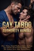 Gay Taboo Authority Bundle