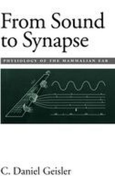 From Sound to Synapse