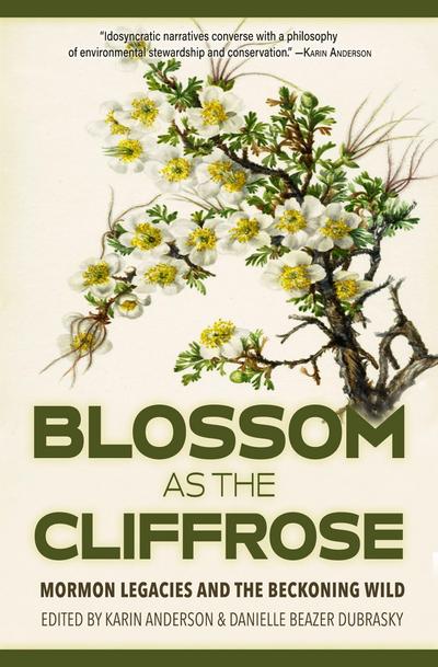 Blossom as the Cliffrose