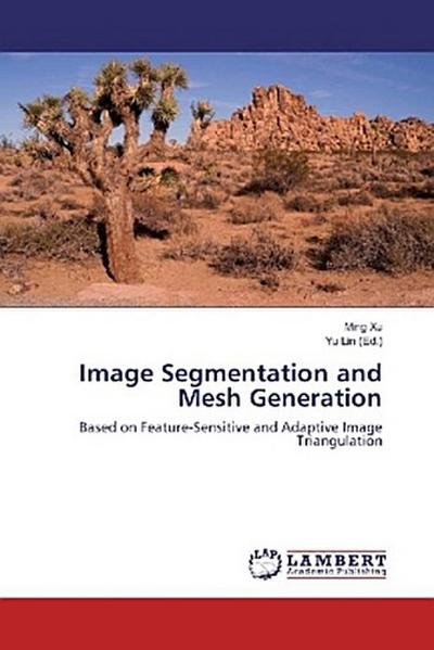 Image Segmentation and Mesh Generation