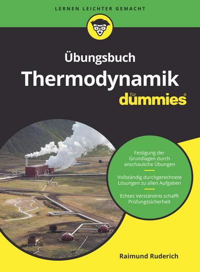 Übungsbuch Thermodynamik für Dummies 