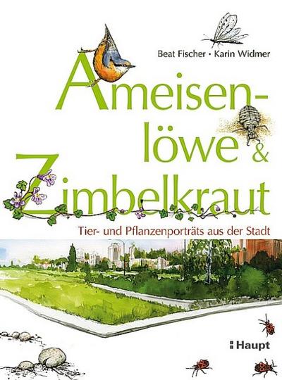 Ameisenlöwe & Zimbelkraut