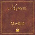 Mesnevi