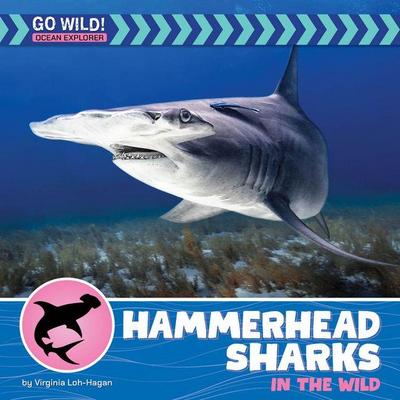 Hammerhead Sharks in the Wild