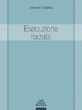 Esecuzione forzata