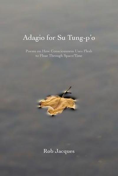 Adagio for Su Tung-p’o: Poems on How Consciousness Uses Flesh to Float Through Space/Time
