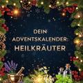 Dein Adventskalender: Heilkräuter