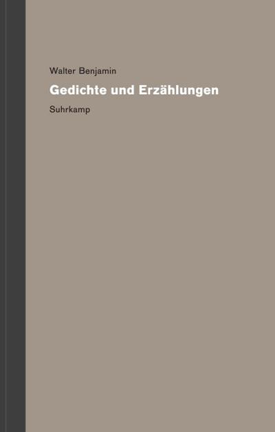 Werke und Nachlaß. Kritische Gesamtausgabe
