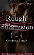 Rough Submission 1 - 4