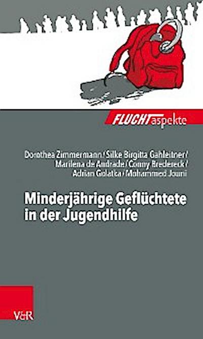 Minderjährige Geflüchtete in der Jugendhilfe